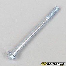 Tornillo 6x75mm placa de cabeza hexagonal (por unidad)
