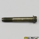 Tornillo de fijación triangular AXR 300 SP (2003 - 2006)