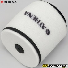 Filtro aria Honda T.RX 400 Athena