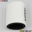 Air filter Yamaha Wolverine,  Bruin 350, Kodiak 450 ... Athena