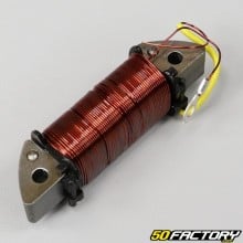 Starter stator coil Yamaha DT MX 50, DTR50, RD50 and MBK ZX (up to 1995)