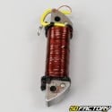 Bobine de stator démarrage Yamaha DT MX 50, DTR50, RD50 et MBK ZX (jusqu'à 1995)