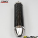 Muffler silencer Generic Trigger,  Malaguti,  Ride... Giannelli Enduro carbone