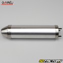 Muffler silencer Generic Trigger,  Malaguti,  Ride... Giannelli Enduro alu