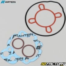 Top end gasket set AM6 minarelli Euro 2  Artein