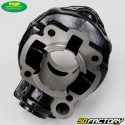Kolbenzylinder aus Gusseisen Ø 40.30 mm AM6 Minarelli Top Performances 50