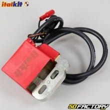 Selettra ignition coil Derbi,  Peugeot 103, MBK Booster... Italkit