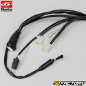 Electrical harness Beta RR 50 (2004 - 2010)