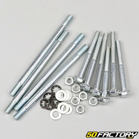 Parafusos do motor com pinos Peugeot 103 (kit)