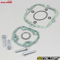 Cilindro de pistón de aluminio Ã˜39 mm MBK 51 AV10 líquido Malossi G2 50