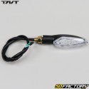 Hinten rechts Blinker TNT Motor Grido, Longjia ...