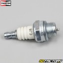 Spark plug Champion CJ8 (BM6A equivalence)