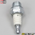 Spark plug Champion CJ8 (BM6A equivalence)