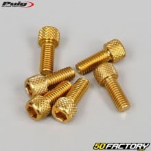 Tornillos cabeza BTR Puig dorados de 6x15 mm (juego de 6)