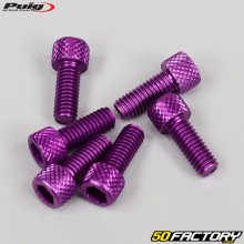 Tornillos cabeza de 6x15 mm BTR Puig violeta (juego de 6)