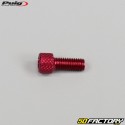 Vis 6x15 mm tête BTR Puig rouges (lot de 6)