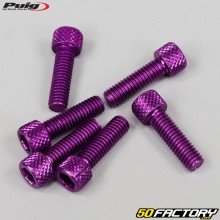 Parafusos 6x20 mm cabeça BTR Puig roxo (conjunto de 6)