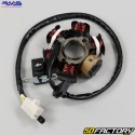 Accensione completa Peugeot TKR,  Kisbee, Ludix, Citystar... 50 2T RMS