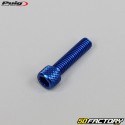 6x25 mm viti a testa BTR Puig blu (set di 6)