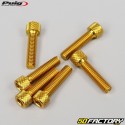 6x25 mm screws head BTR Puig golden (set of 6)