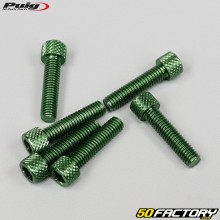 Parafusos 6x25 mm cabeça BTR Puig verdes (conjunto de 6)
