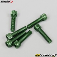 6x25 mm screws head BTR Puig green (set of 6)