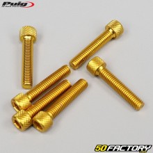 Tornillos cabeza BTR Puig dorados de 6x30 mm (juego de 6)