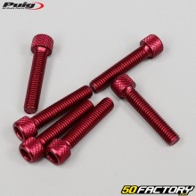 Vis 6x30 mm tête BTR Puig rouges (lot de 6)