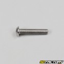 Stainless steel convex BTR head screw (individually)