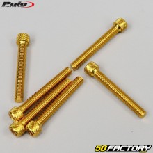 Parafusos 6x45 mm cabeça BTR Puig dourados (conjunto de 6)