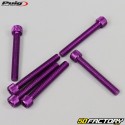 Vis 6x45 mm tête BTR Puig violettes (lot de 6)