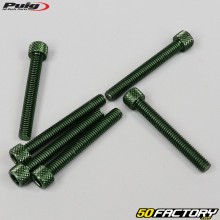 Tornillos cabeza BTR Puig verde de 6x45 mm (juego de 6)