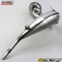 Exhaust body Yamaha TDR 125 (1993 to 2003) Giannelli