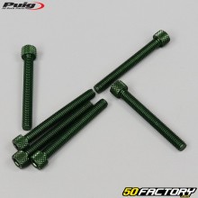 Parafusos 6x50 mm cabeça BTR Puig verdes (conjunto de 6)