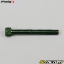 Tornillos cabeza BTR Puig verde de 6x50 mm (juego de 6)