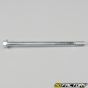Perno forcellone Rieju RS2, RR, Spike