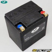 Batterie Landport YTX30L SLA 12V 30Ah HVT-2 acide sans entretien