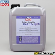 Kühlflüssigkeit Liqui Moly Coolant Ready Mix RAF12 + 5L