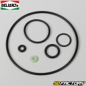 Guarnizioni carburatore Dellorto PHBN