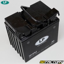 Batterie Landport Y60-N30-4 SLA 12V 30Ah acide sans entretien