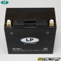 Batterie Landport GT14B-4 12V 12Ah Gel Yamaha FZS 1000, XJR 1300 ...