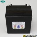 Bateria Landport Gel GB12A-A 12V 12Ah Peugeot Vivacity,  Geopolis...