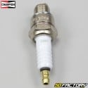 Spark plug Champion L86C (B6HS equivalence)