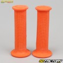 Accossato-Griffe Racing orange