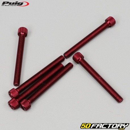 Screws 6x55 mm head BTR Puig red (set of 6)