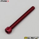 Screws 6x55 mm head BTR Puig red (set of 6)