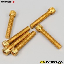 Parafusos 8x45 mm cabeça BTR Puig dourados (conjunto de 6)