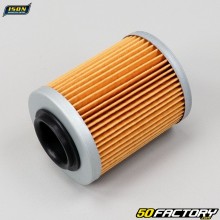 Filtro de aceite XNUMX Aprilia XNUMX, Bombardier, Can-Am, Hisun... Ison