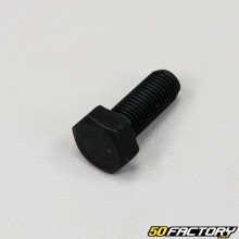 Black hexagonal head screw (individually)