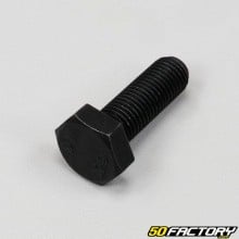 10x30 mm screws (pitch 1.25) hex head (single) black